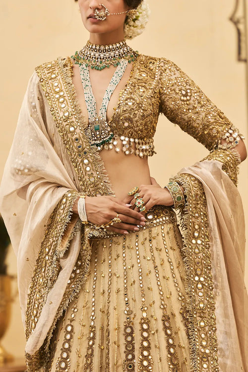 Sunehra Tissue Lehenga Set