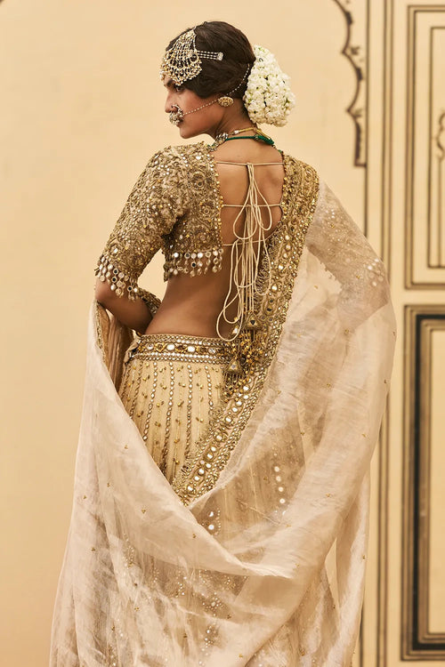 Sunehra Tissue Lehenga Set