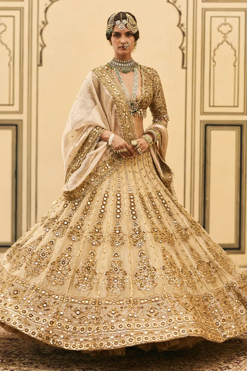 Sunehra Tissue Lehenga Set