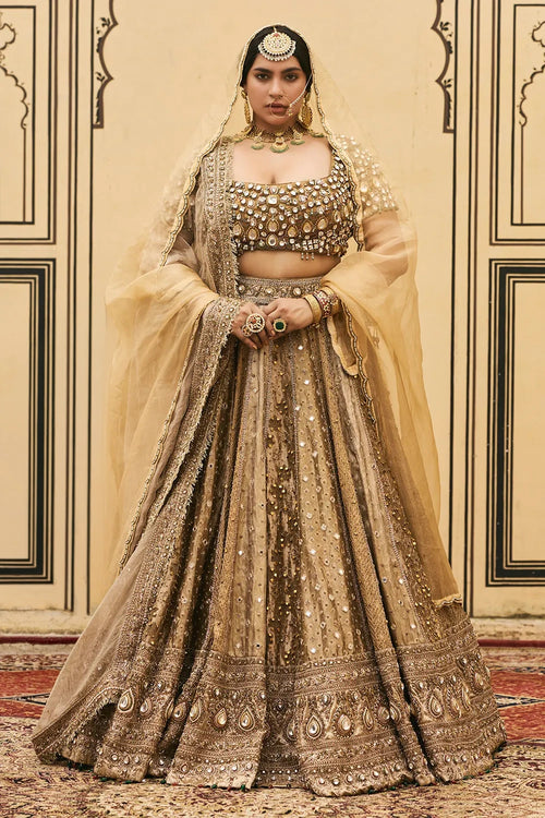Suvarnarang Tissue Brocade Lehenga Set
