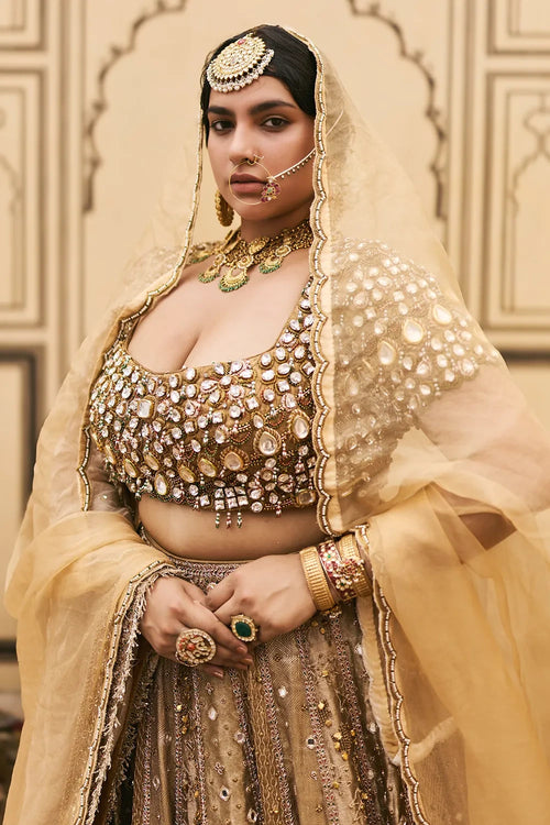 Suvarnarang Tissue Brocade Lehenga Set
