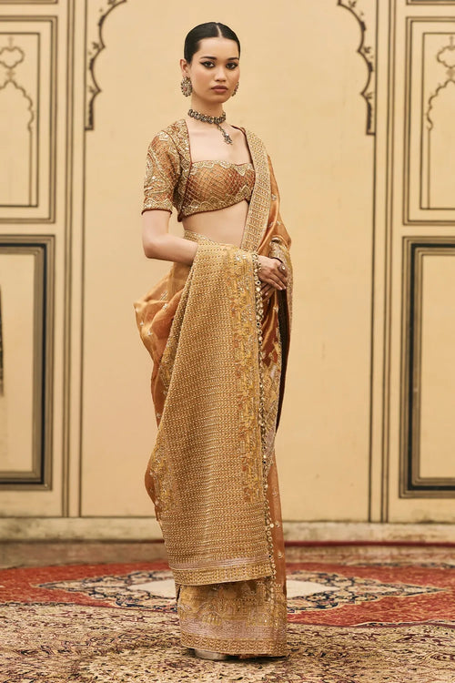 Tamra Tissue Saree Set