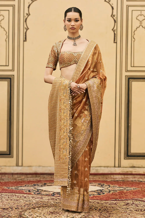 Tamra Tissue Saree Set