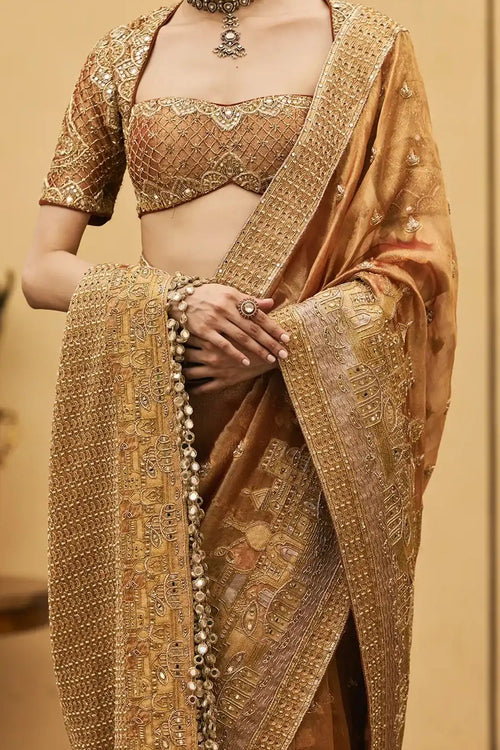 Tamra Tissue Saree Set