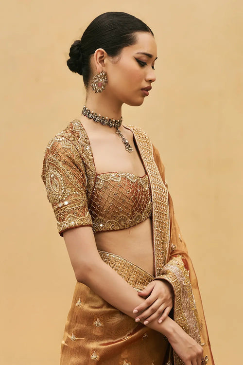 Tamra Tissue Saree Set