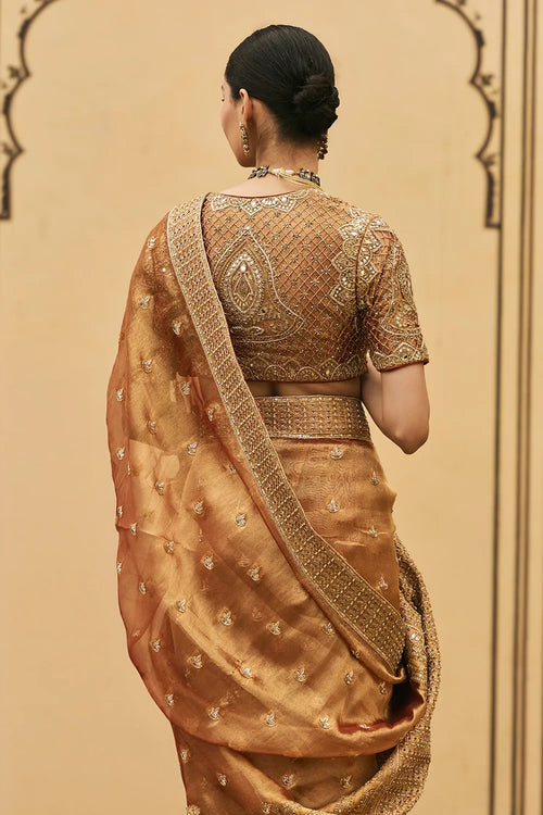 Tamra Tissue Saree Set