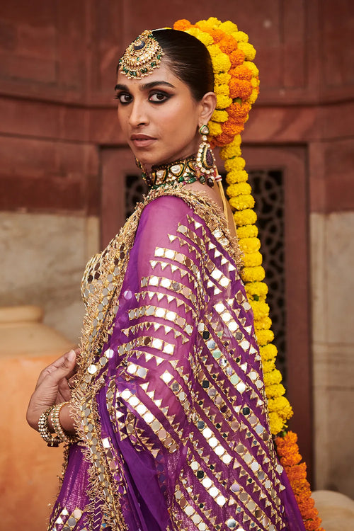 Chandi Sona Halftone Lehenga Set