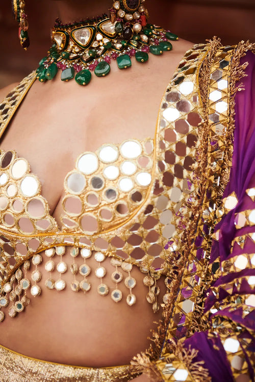 Chandi Sona Halftone Lehenga Set