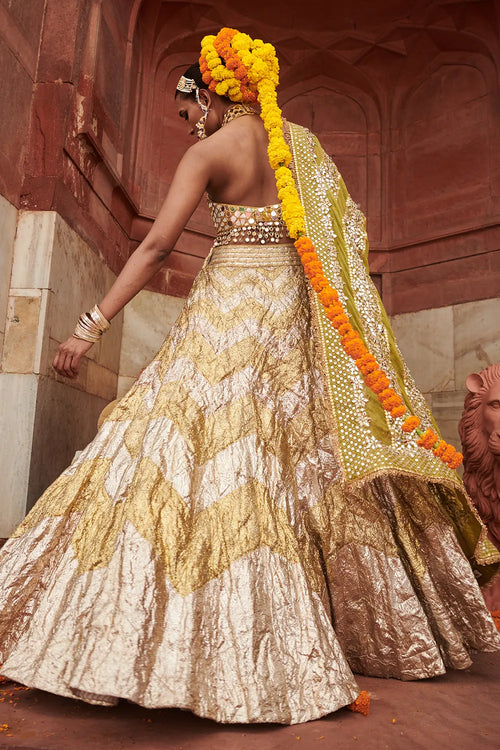 Chandi Sona Chevron Lampi Lehenga Set