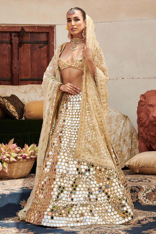 Sheesh Mahal Lehenga Set with Veil