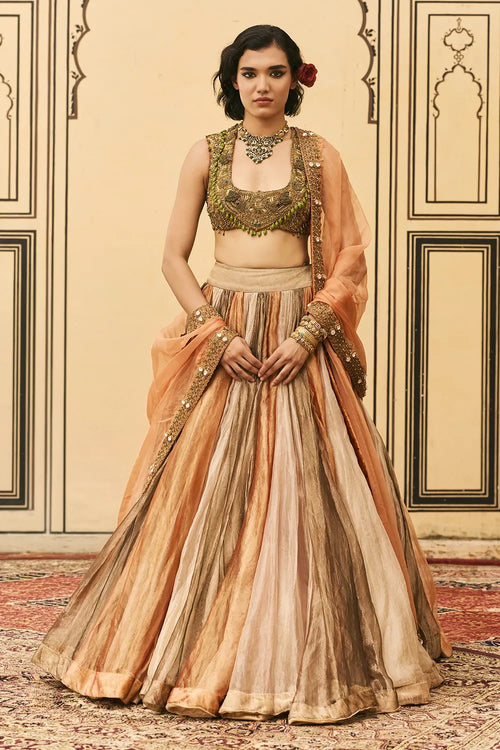 Rangbahar Tissue Brocade Lehenga Set