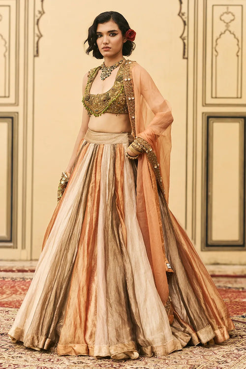 Rangbahar Tissue Brocade Lehenga Set