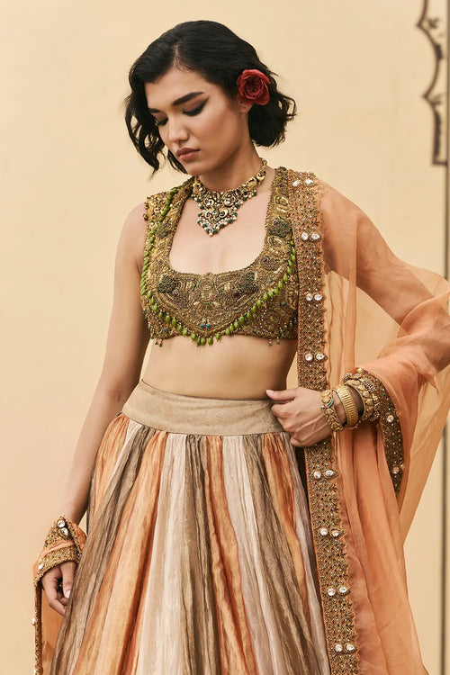 Rangbahar Tissue Brocade Lehenga Set