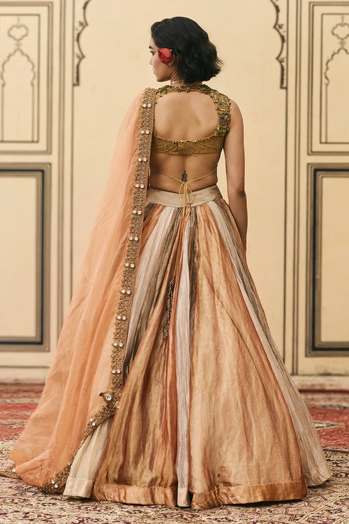 Rangbahar Tissue Brocade Lehenga Set