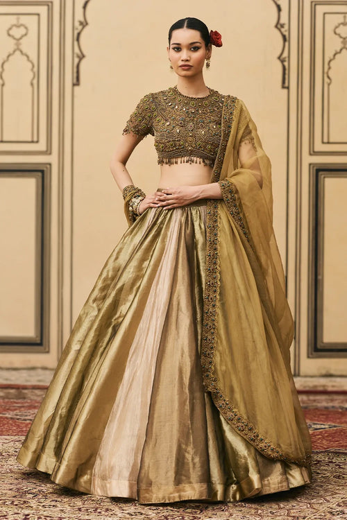 Rangoli Tissue Brocade Lehenga
