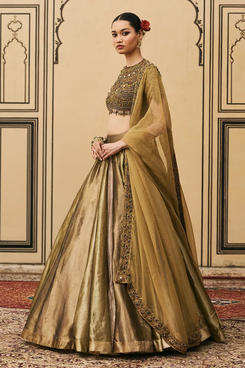 Rangoli Tissue Brocade Lehenga