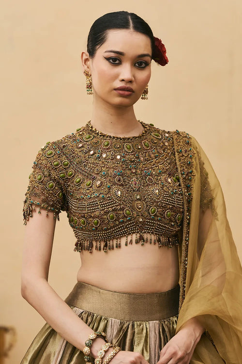 Rangoli Tissue Brocade Lehenga