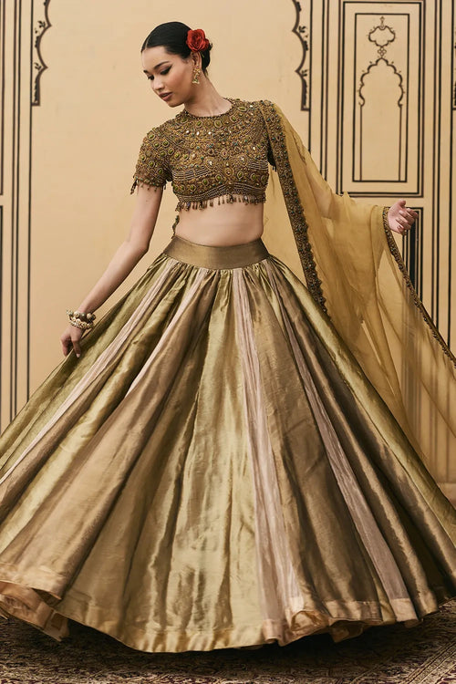 Rangoli Tissue Brocade Lehenga