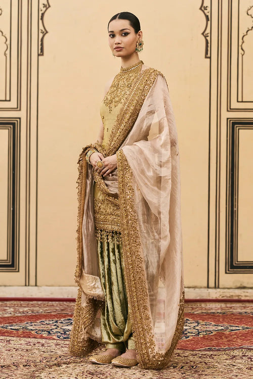 Hariyal Velvet Brocade Farshi Set