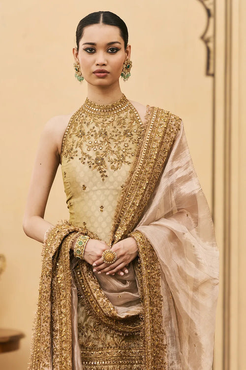 Hariyal Velvet Brocade Farshi Set
