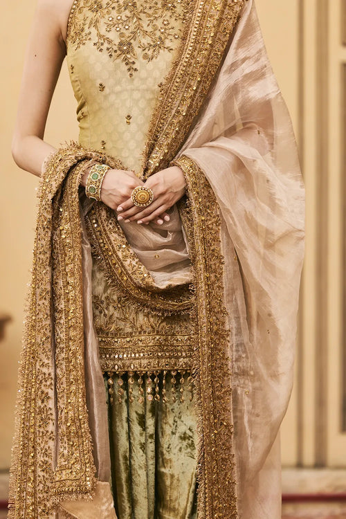 Hariyal Velvet Brocade Farshi Set