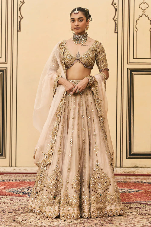 Maang Tika Tissue Lehenga Set