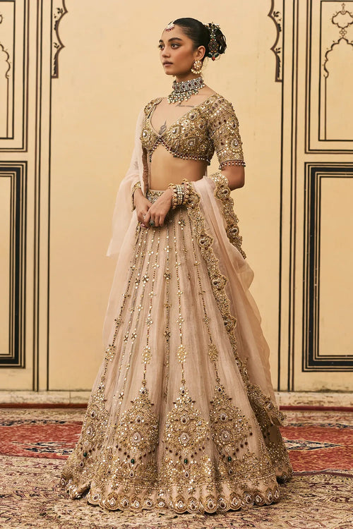 Maang Tika Tissue Lehenga Set