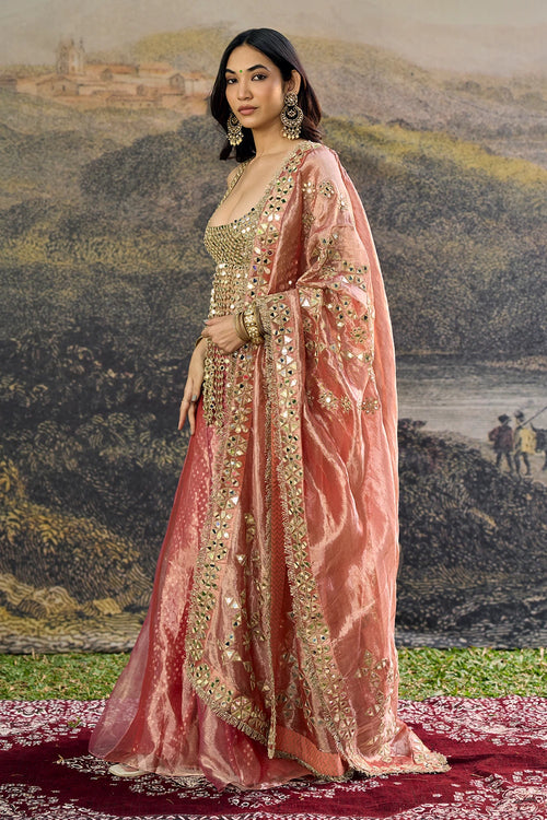 Gulbahar Mirror Sharara Set