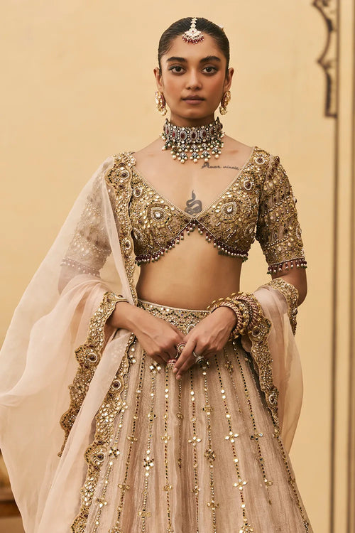 Maang Tika Tissue Lehenga Set