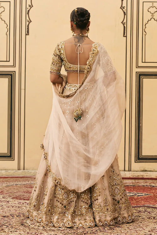Maang Tika Tissue Lehenga Set