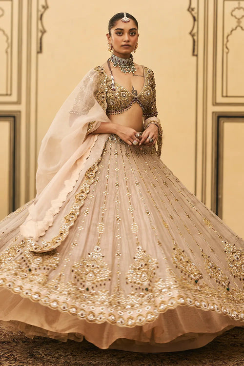 Maang Tika Tissue Lehenga Set