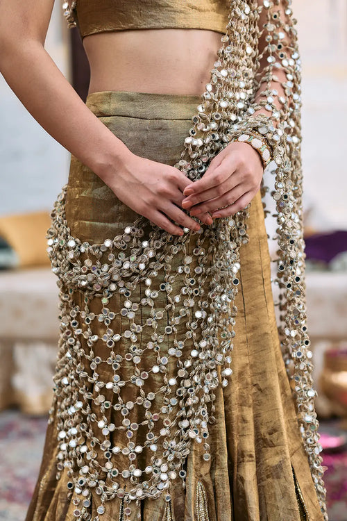 Mandira Lehenga Set with Sheeshya Veil