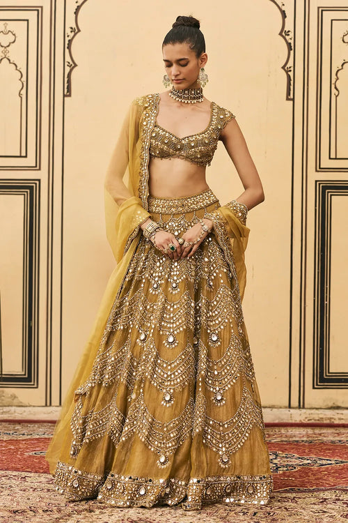 Sarson Tissue Lehenga Set