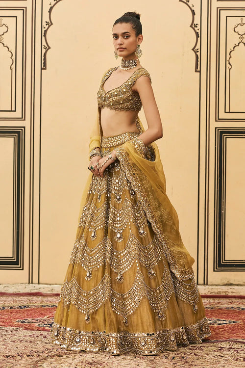 Sarson Tissue Lehenga Set