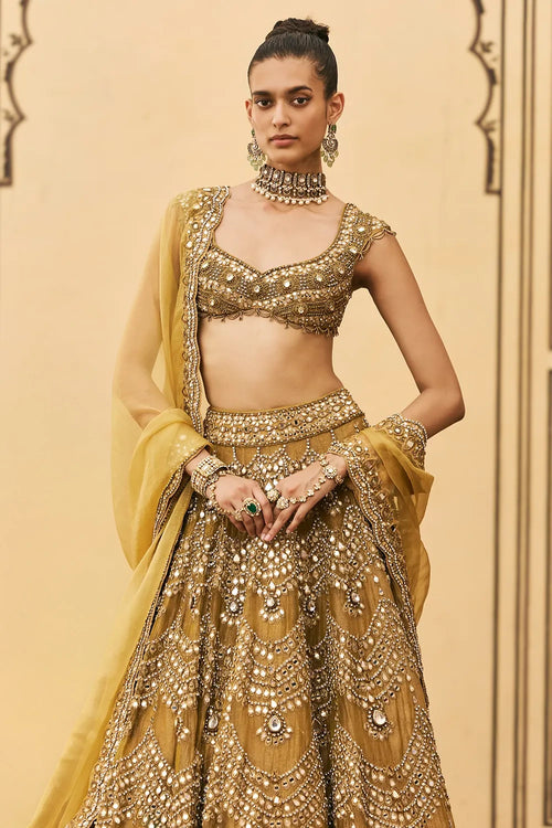 Sarson Tissue Lehenga Set