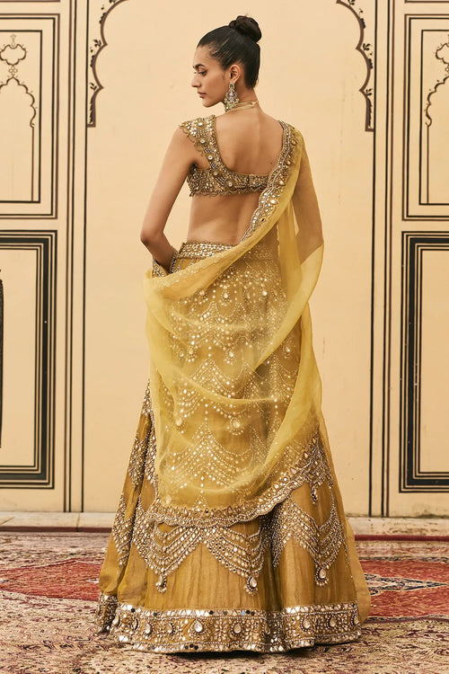 Sarson Tissue Lehenga Set