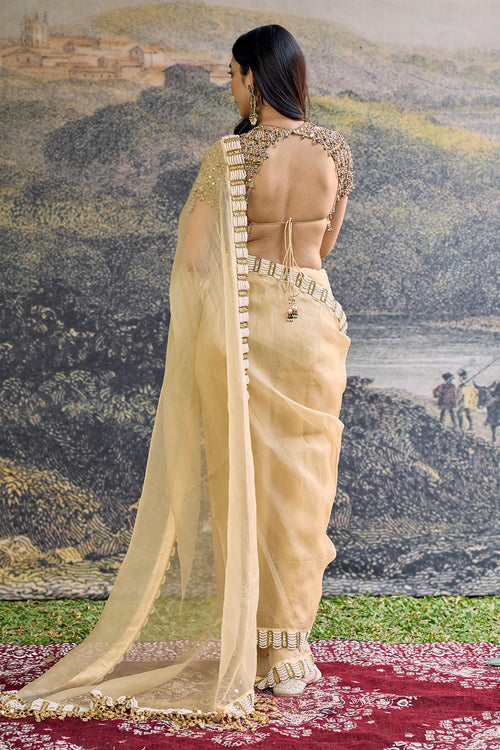 Kahani Jadau Organza Saree Set