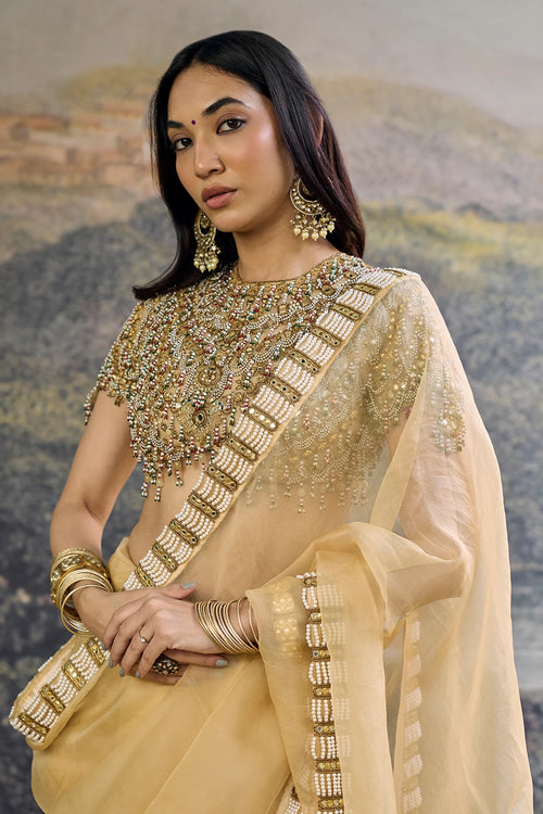 Kahani Jadau Organza Saree Set