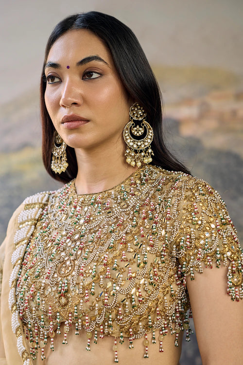Kahani Jadau Organza Saree Set