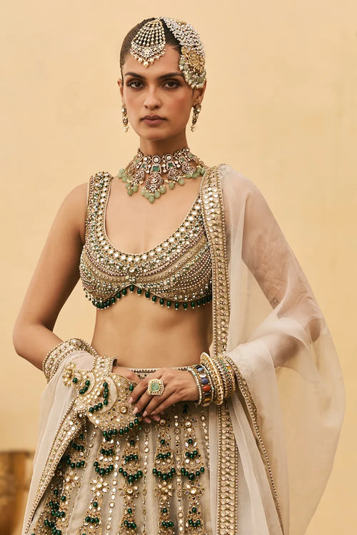 Rajat Paasa Tissue Lehenga Set