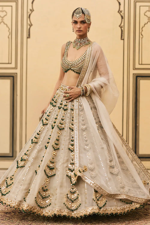 Rajat Paasa Tissue Lehenga Set