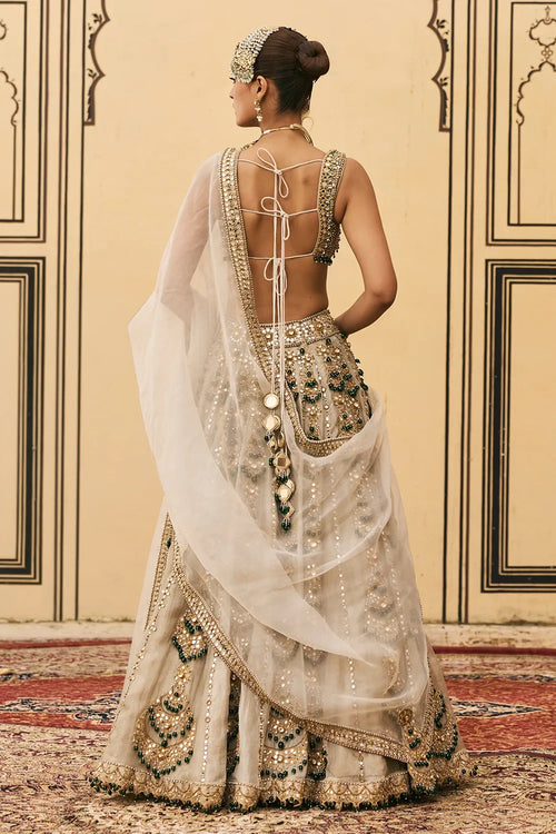 Rajat Paasa Tissue Lehenga Set