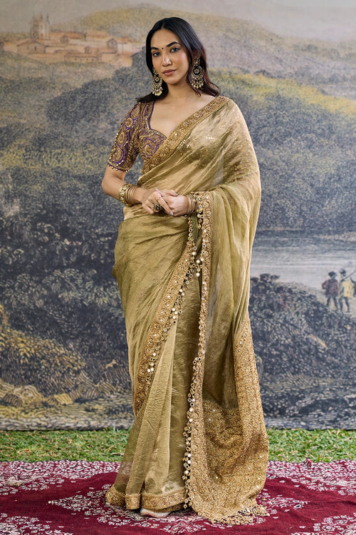 Zarvika Fusion Tissue Saree Set