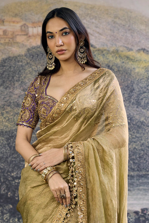 Zarvika Fusion Tissue Saree Set