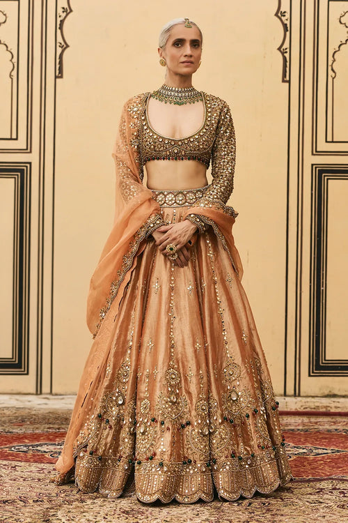 Chaand Baali Tissue Lehenga Set