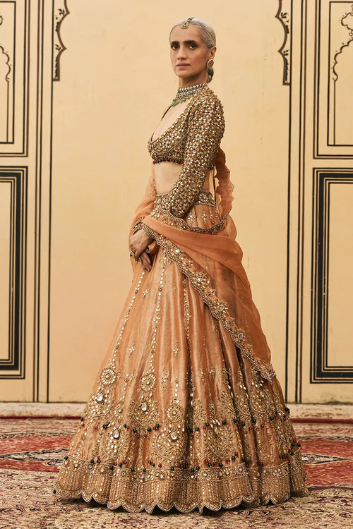 Chaand Baali Tissue Lehenga Set