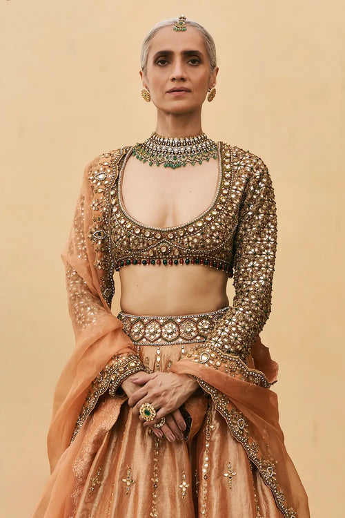 Chaand Baali Tissue Lehenga Set