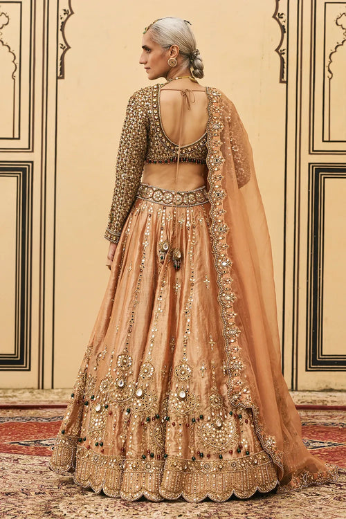 Chaand Baali Tissue Lehenga Set