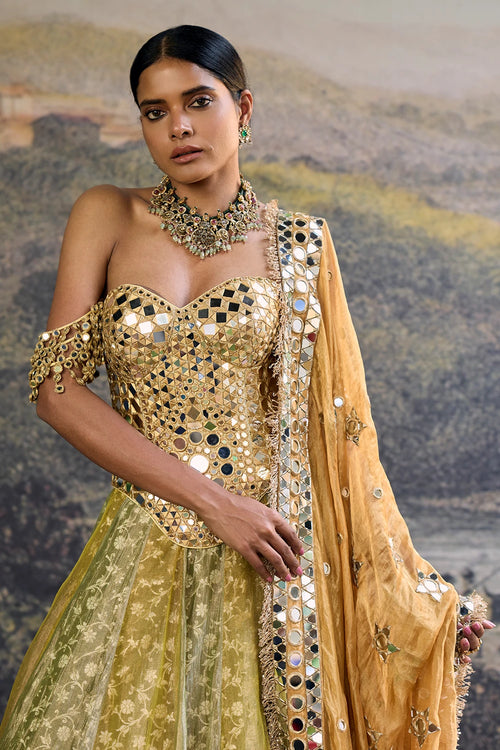 Hiranya Mirror Lehenga Set