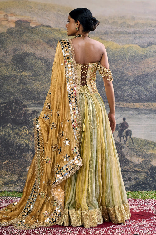 Hiranya Mirror Lehenga Set